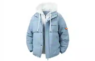 SNOW FLYING Logo90