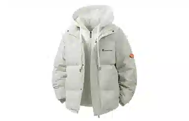 SNOW FLYING Logo90