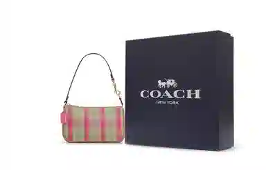 COACH Nolita 19