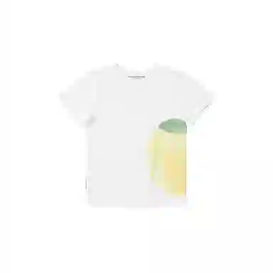 THE MUSEUM VISITOR T