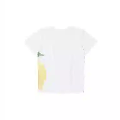 THE MUSEUM VISITOR T