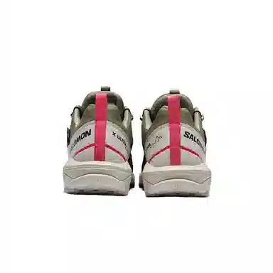 Salomon X Ultra Alpine Gore-Tex