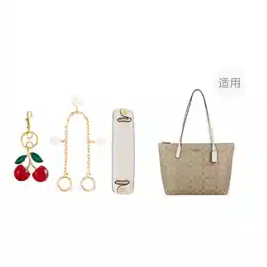 Coach Zip Top Tote 30