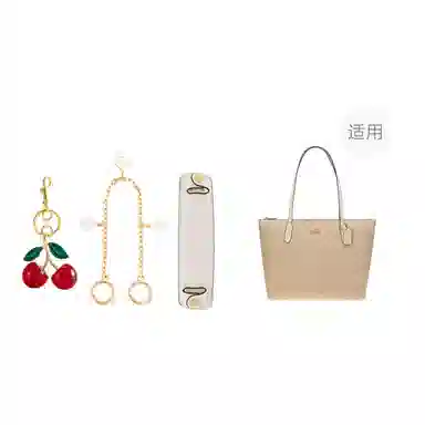 Coach Zip Top Tote 30