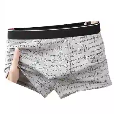 JEANSWEST Cotton Boxer Shorts