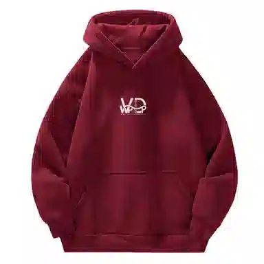 VPDP Logo