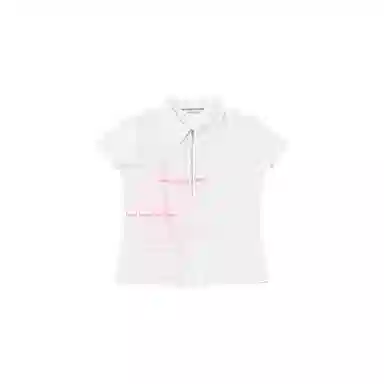 THE MUSEUM VISITOR T