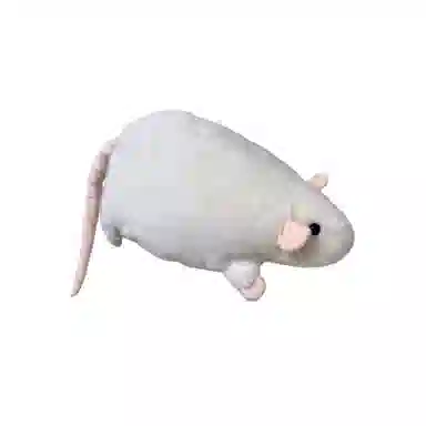 35cm50cm