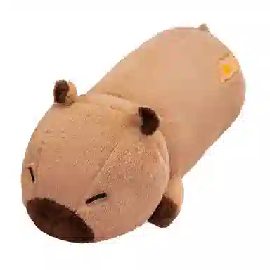 lionf 60cm80cm
