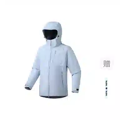 pallsupol