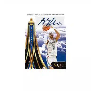 PANINI 2024-25 Basketball NBA Select hobby