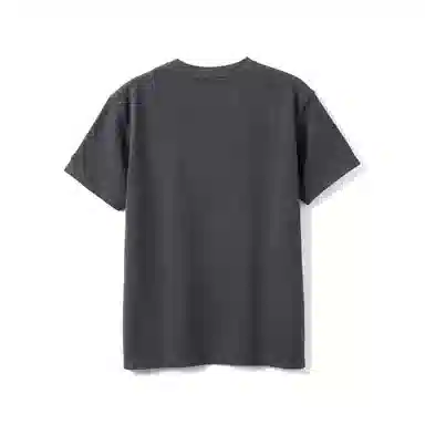 SIMWOOD 310g soronaT