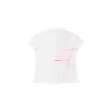 THE MUSEUM VISITOR T