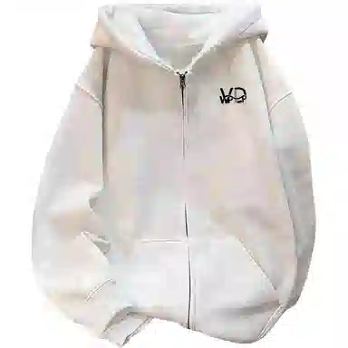 VPDP Logo