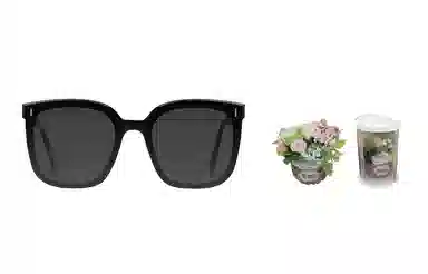 Gentle Monster Frida 01