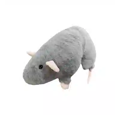 35cm50cm