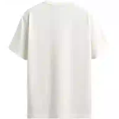 ZARA T