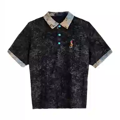 SLLAVIF Polo