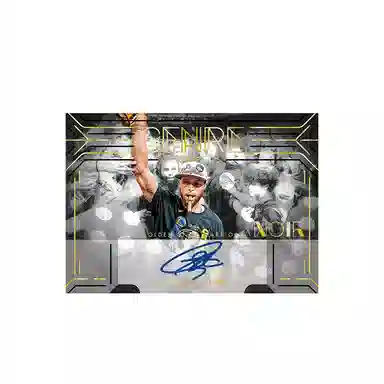 PANINI 2024-25 basketball NBA Noir Hobby International