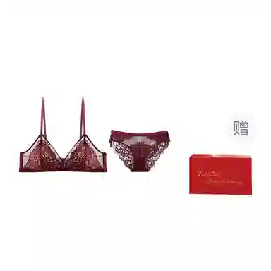 内在密码 纯色蕾丝聚拢三角杯中腰三角内衣裤套装 女款