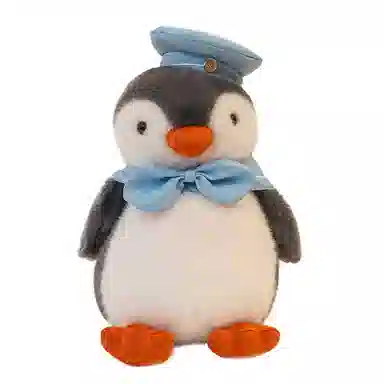 25cm35cm
