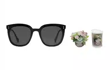 GENTLE MONSTER Rosy 01