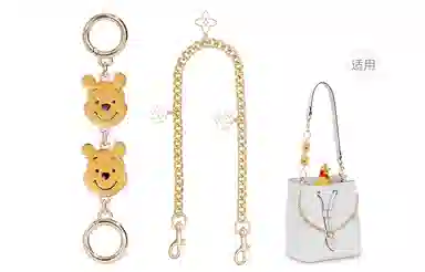 Disney COACH Rowan 22 diy