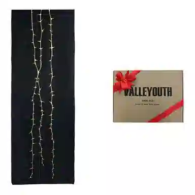 VALLEYOUTH