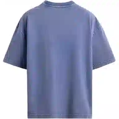 ZARA T