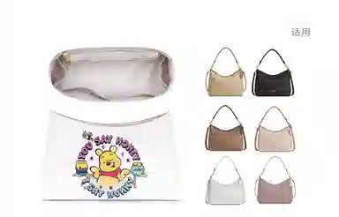GUYI Disney COACH Laurel 31