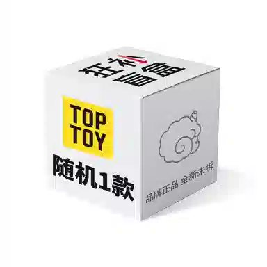 TOP TOY