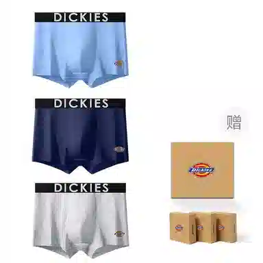 Dickies 10A95
