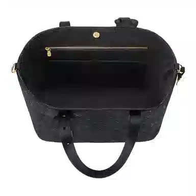 LOUIS VUITTON ALL IN ONE