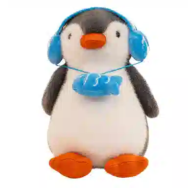 25cm35cm