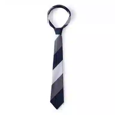 红豆 手打正装商务通勤休闲配饰 男士 涤纶丝 领带 男款