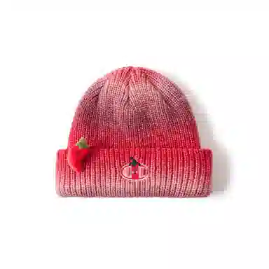 Champion FW25 C-Logo