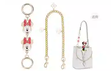 Disney COACH Rowan 22 diy