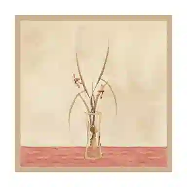 上海故事 真丝印花双面礼盒装 桑蚕丝 丝巾 女款