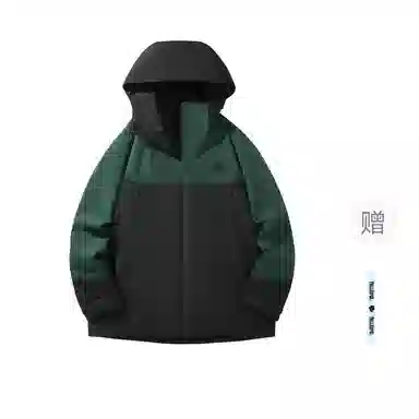 pallsupol