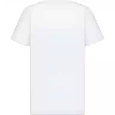 DIOR FW25 T
