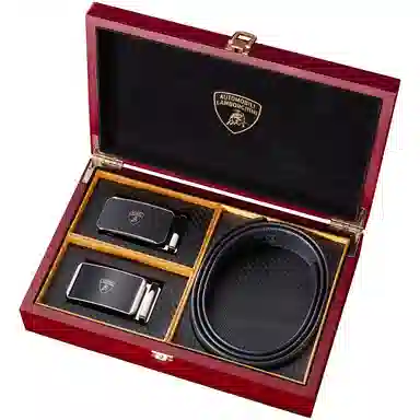 Automobili Lamborghini