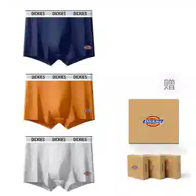 Dickies 10A95