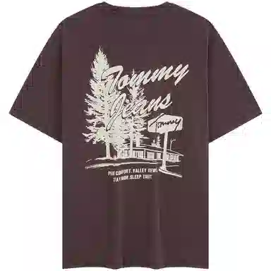 Tommy Hilfiger T