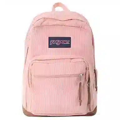 JanSport 28L