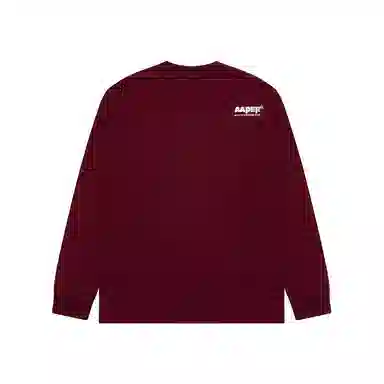 Aape T