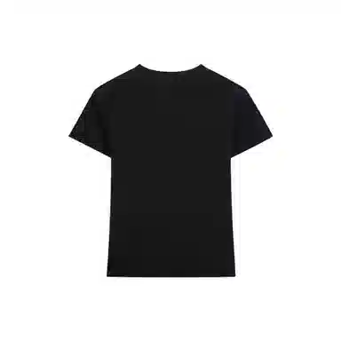 RVANGUARD RVANGUARDT