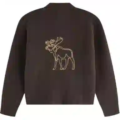 Abercrombie Fitch Deer V-Neck Sweater