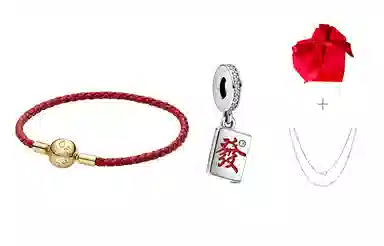 Pandora Red Series DIY Charm Bracelet