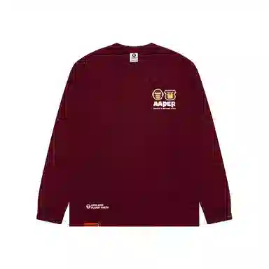 Aape T