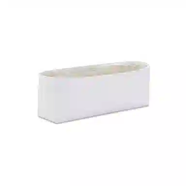 FANJI LongchampLe Roseau